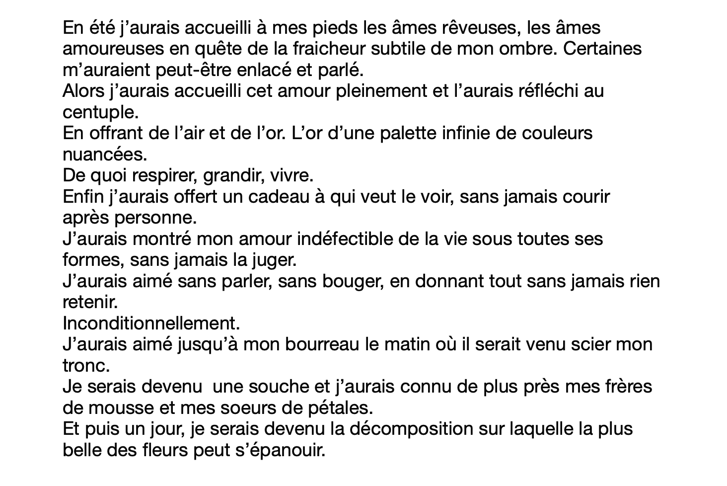 détail d'un texte d'écriture de Nicolas BRAVIN intitulé "Arbre".