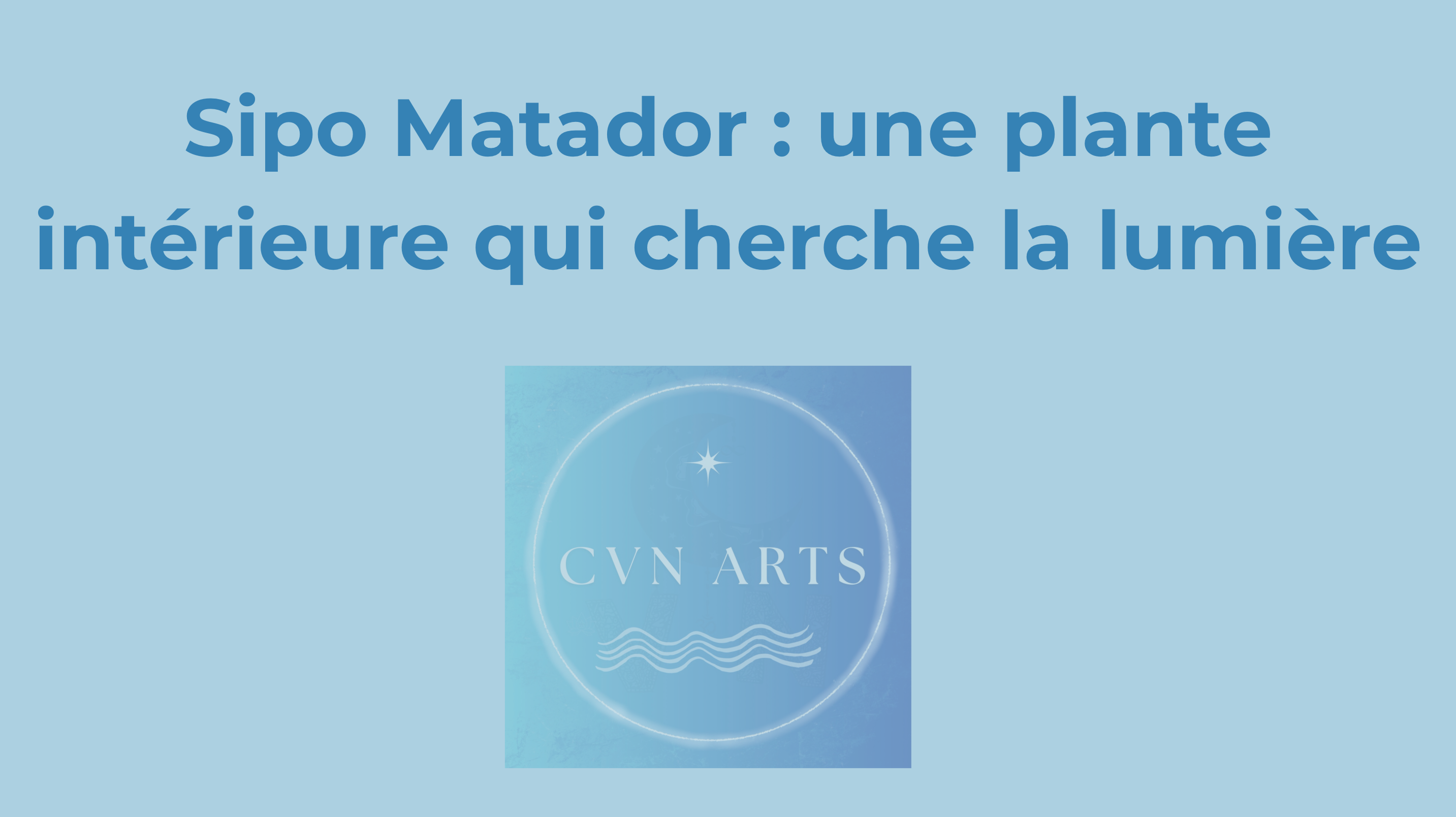 article 4 sipo matador.png
